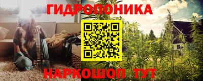 стафф Будённовск