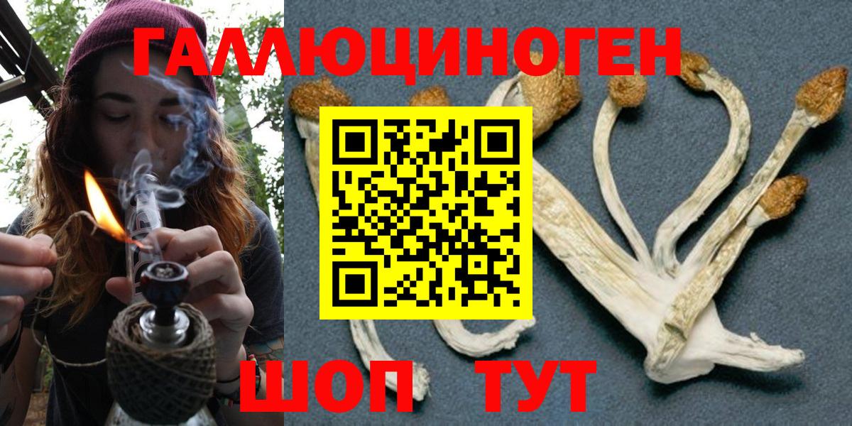 Псилоцибиновые грибы MAGIC MUSHROOMS Людиново